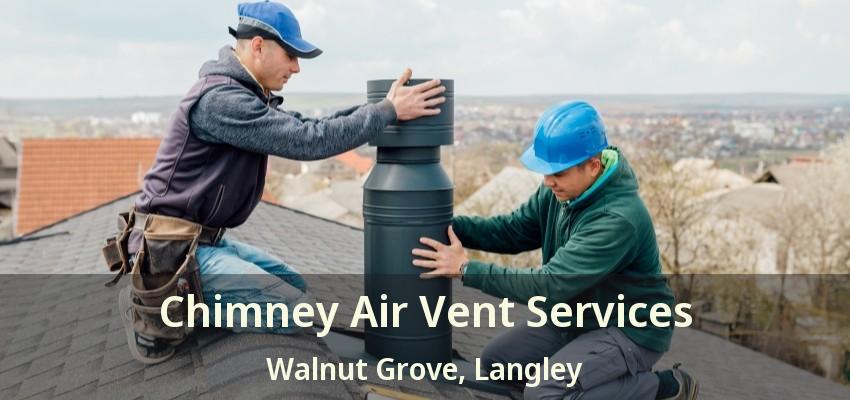 Chimney Air Vent Services Walnut Grove, Langley - BC