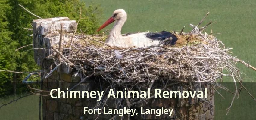Chimney Animal Removal Fort Langley, Langley - BC