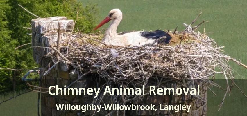 Chimney Animal Removal Willoughby-Willowbrook, Langley - BC