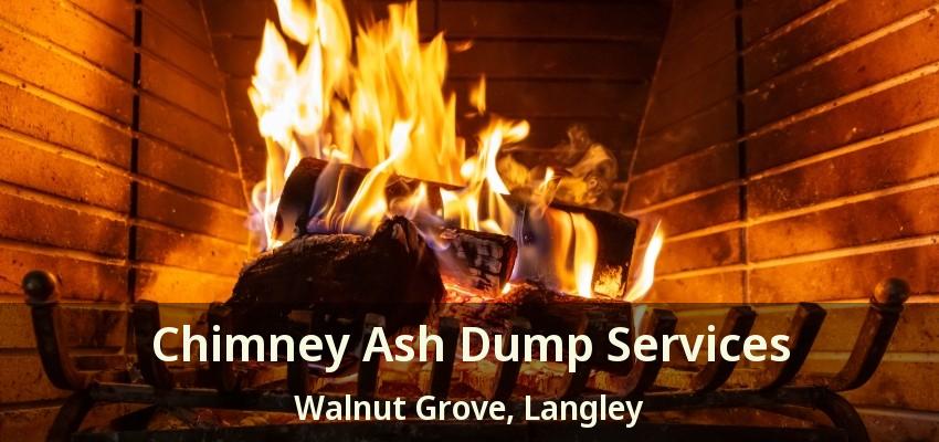 Chimney Ash Dump Services Walnut Grove, Langley - BC