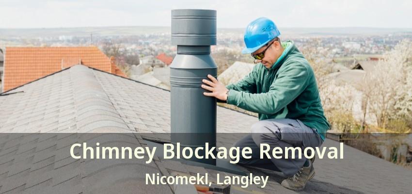 Chimney Blockage Removal Nicomekl, Langley - BC