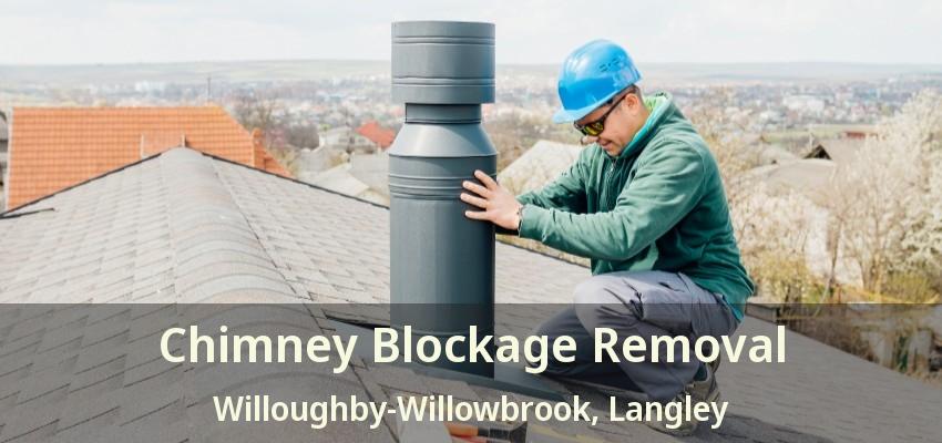 Chimney Blockage Removal Willoughby-Willowbrook, Langley - BC