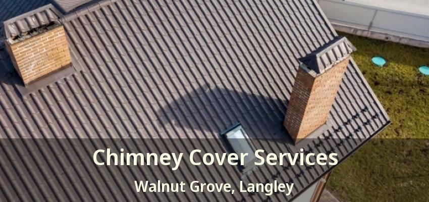 Chimney Cover Services Walnut Grove, Langley - BC