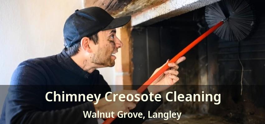 Chimney Creosote Cleaning Walnut Grove, Langley - BC