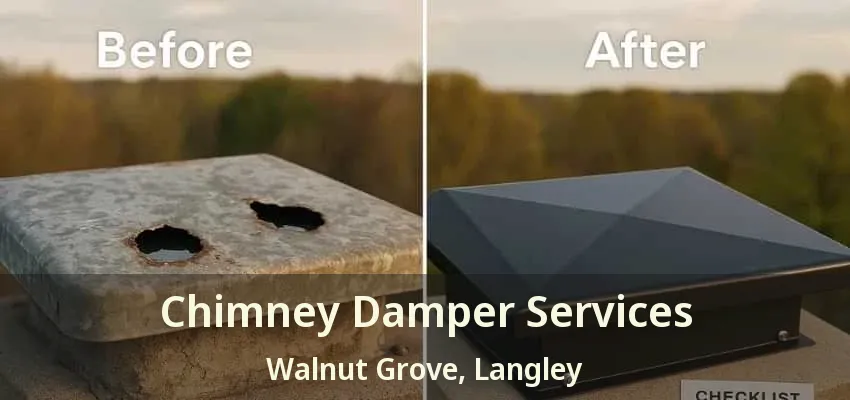 Chimney Damper Services Walnut Grove, Langley - BC