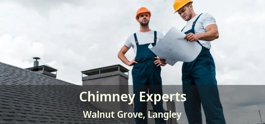 Chimney Experts Walnut Grove, Langley - BC