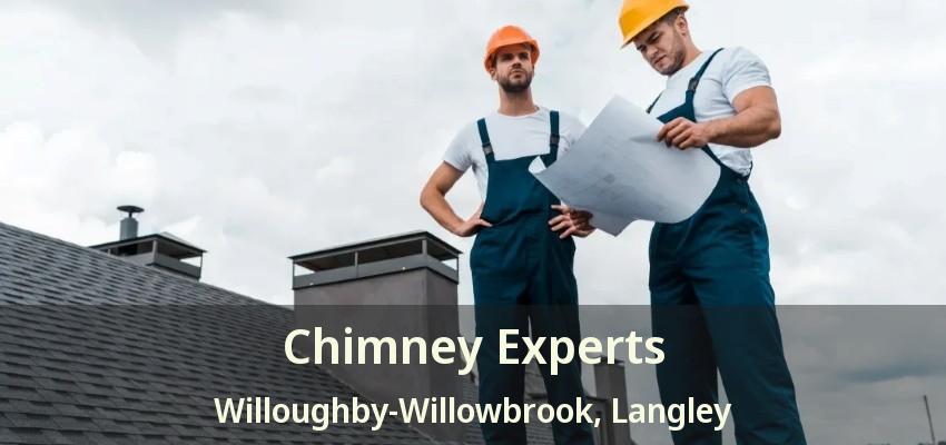 Chimney Experts Willoughby-Willowbrook, Langley - BC