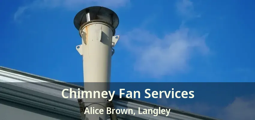 Chimney Fan Services Alice Brown, Langley - BC