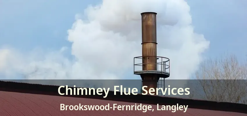 Chimney Flue Services Brookswood-Fernridge, Langley - BC