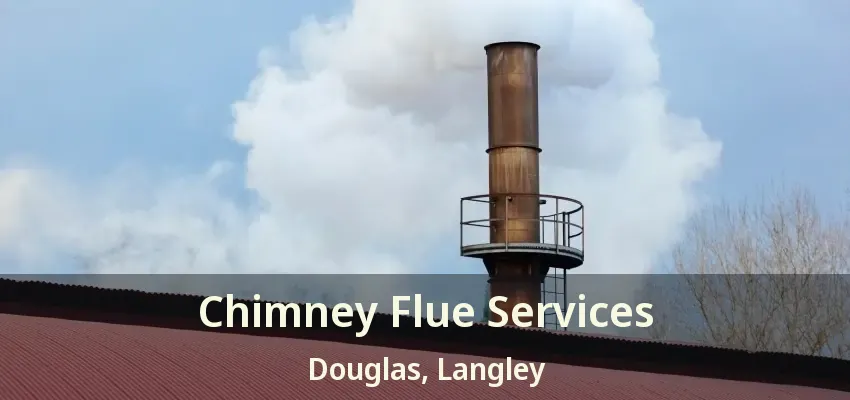 Chimney Flue Services Douglas, Langley - BC