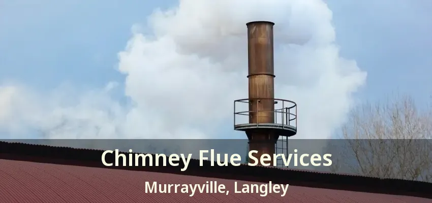 Chimney Flue Services Murrayville, Langley - BC