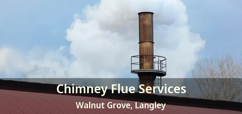Chimney Flue Services Walnut Grove, Langley - BC