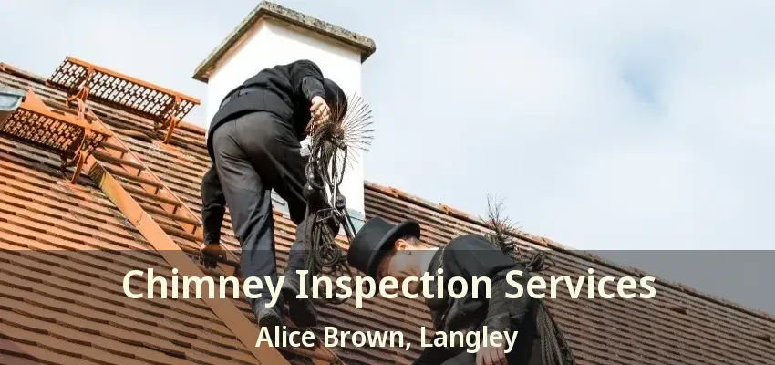 Chimney Inspection Services Alice Brown, Langley - BC