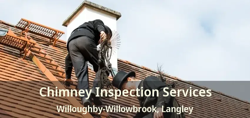 Chimney Inspection Services Willoughby-Willowbrook, Langley - BC
