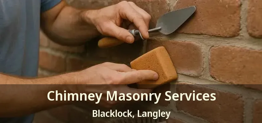 Chimney Masonry Services Blacklock, Langley - BC