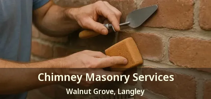 Chimney Masonry Services Walnut Grove, Langley - BC
