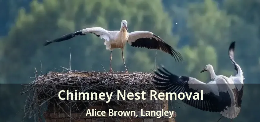 Chimney Nest Removal Alice Brown, Langley - BC