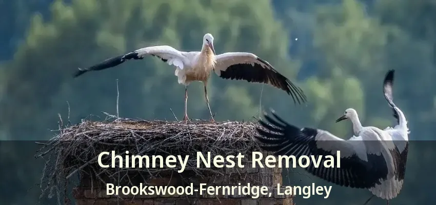 Chimney Nest Removal Brookswood-Fernridge, Langley - BC
