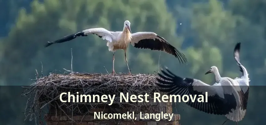 Chimney Nest Removal Nicomekl, Langley - BC