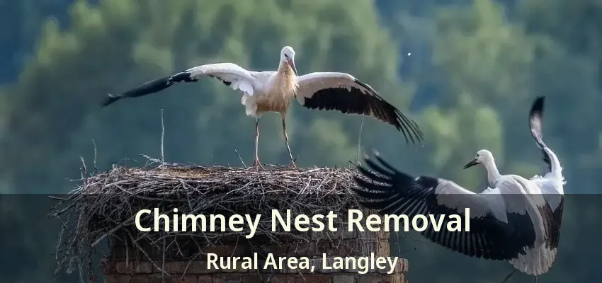 Chimney Nest Removal Rural Area, Langley - BC