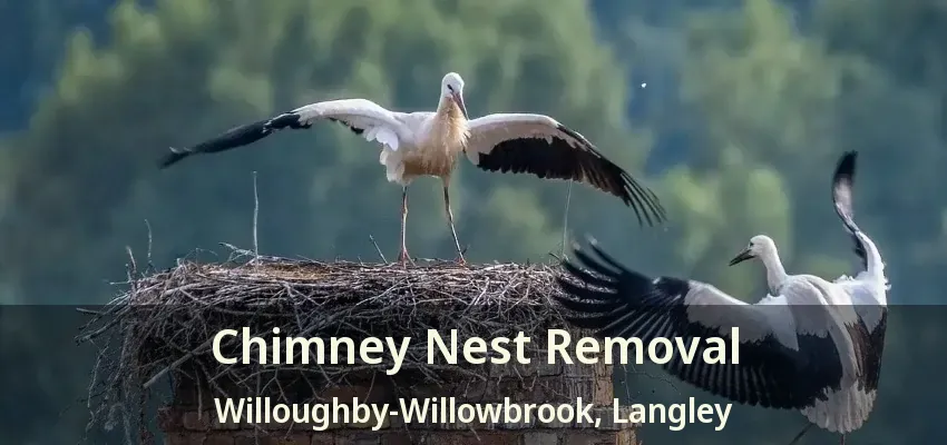 Chimney Nest Removal Willoughby-Willowbrook, Langley - BC