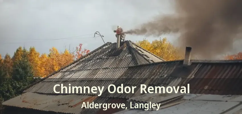 Chimney Odor Removal Aldergrove, Langley - BC