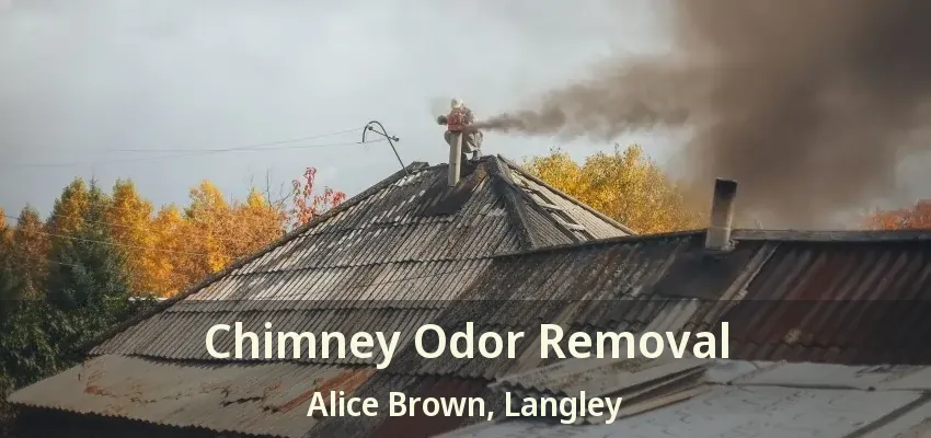 Chimney Odor Removal Alice Brown, Langley - BC