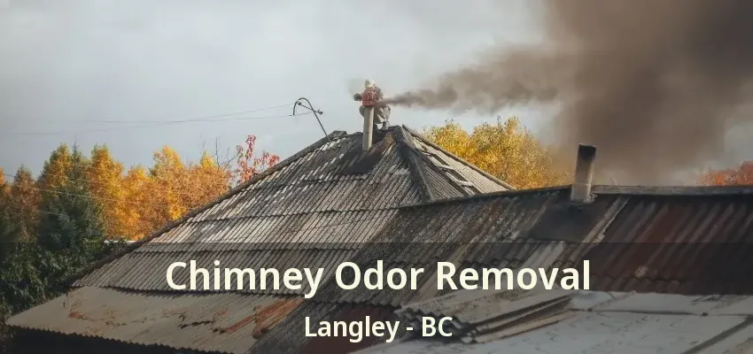 Chimney Odor Removal Langley - BC