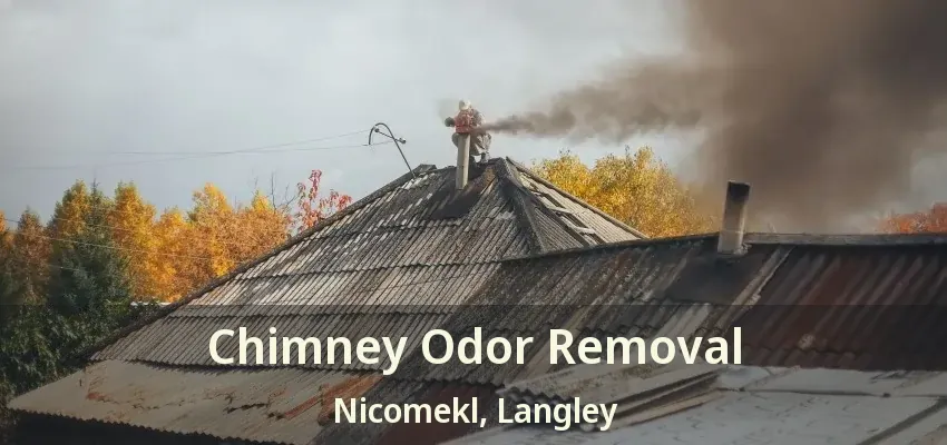 Chimney Odor Removal Nicomekl, Langley - BC