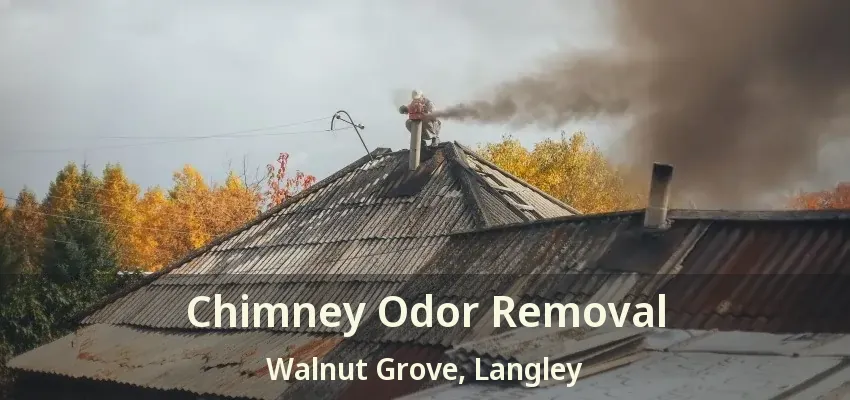 Chimney Odor Removal Walnut Grove, Langley - BC