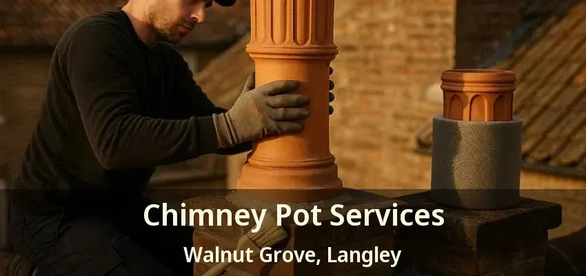 Chimney Pot Services Walnut Grove, Langley - BC