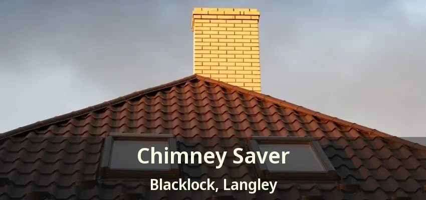 Chimney Saver Blacklock, Langley - BC