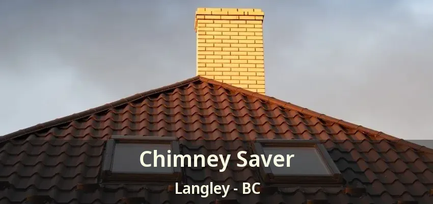 Chimney Saver Langley - BC