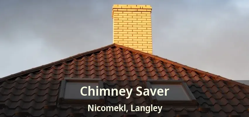 Chimney Saver Nicomekl, Langley - BC
