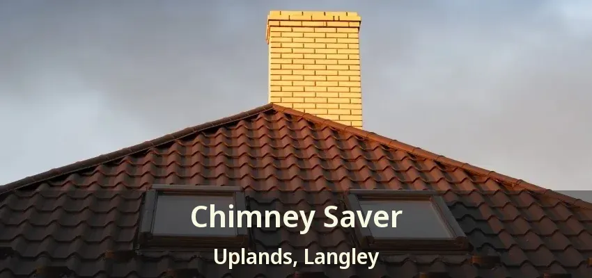 Chimney Saver Uplands, Langley - BC