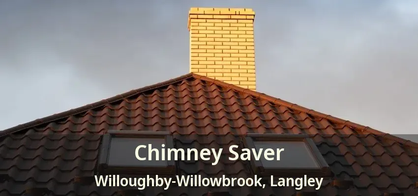 Chimney Saver Willoughby-Willowbrook, Langley - BC