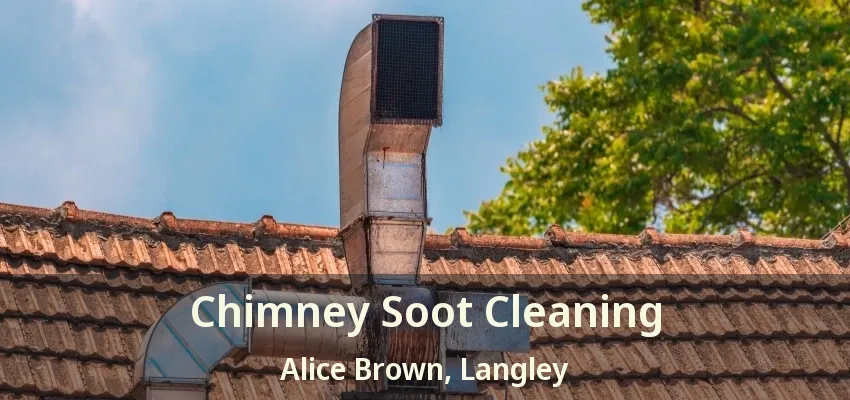 Chimney Soot Cleaning Alice Brown, Langley - BC