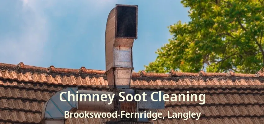 Chimney Soot Cleaning Brookswood-Fernridge, Langley - BC