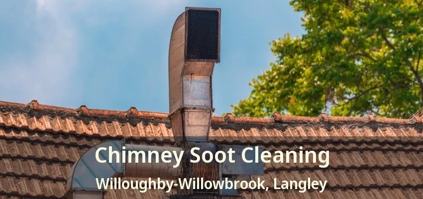 Chimney Soot Cleaning Willoughby-Willowbrook, Langley - BC