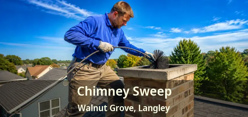 Chimney Sweep Walnut Grove, Langley - BC
