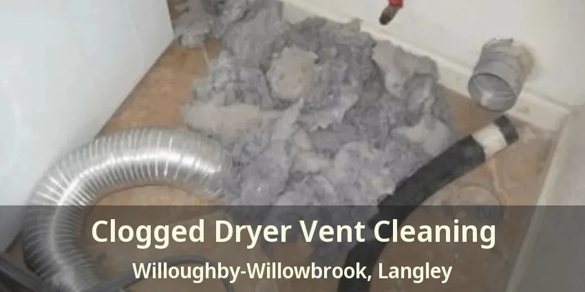 Clogged Dryer Vent Cleaning Willoughby-Willowbrook, Langley - BC