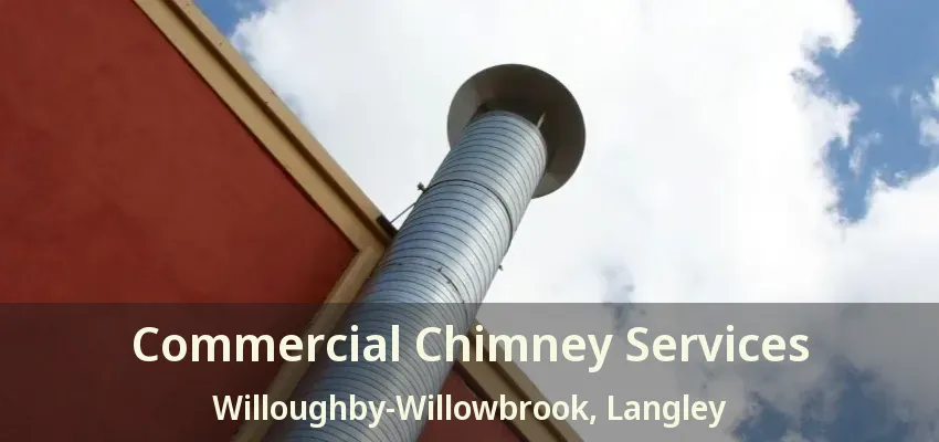Commercial Chimney Services Willoughby-Willowbrook, Langley - BC