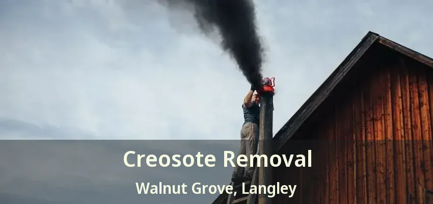 Creosote Removal Walnut Grove, Langley - BC