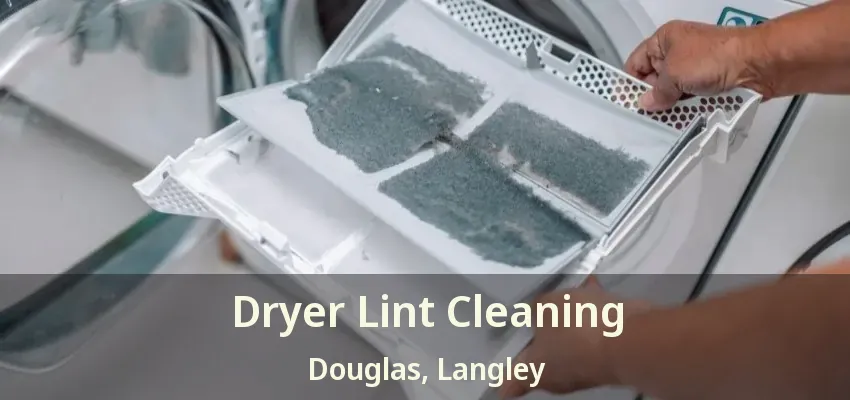 Dryer Lint Cleaning Douglas, Langley - BC