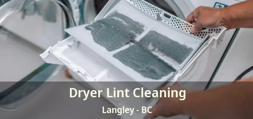 Dryer Lint Cleaning Langley - BC