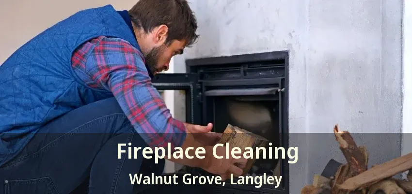 Fireplace Cleaning Walnut Grove, Langley - BC
