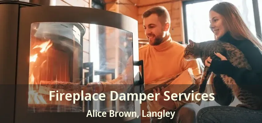 Fireplace Damper Services Alice Brown, Langley - BC