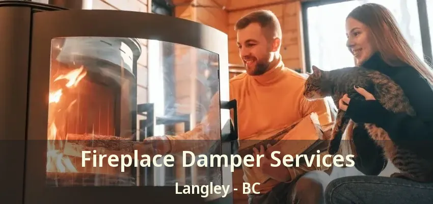 Fireplace Damper Services Langley - BC