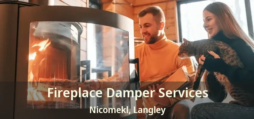 Fireplace Damper Services Nicomekl, Langley - BC