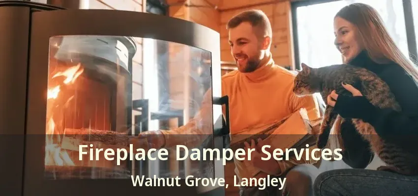 Fireplace Damper Services Walnut Grove, Langley - BC